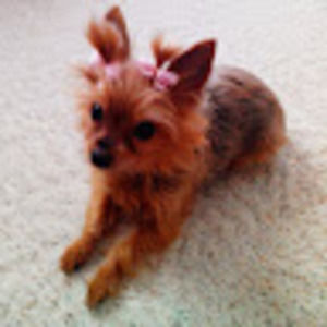 Meet your Posher, Debbie